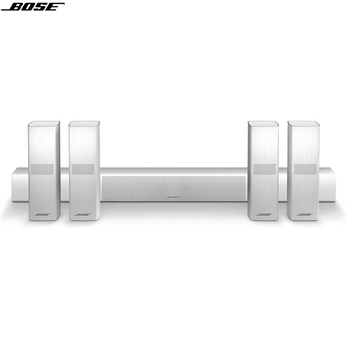 Bose Lifestyle 650 10